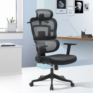 orthopedic executive chair